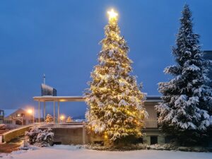 Weihnachtsbaum in Wilen